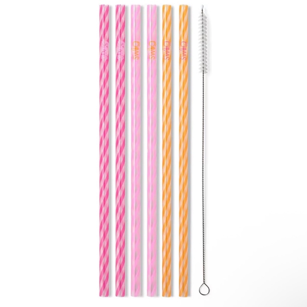 Swig Life NWT Reusable Glacier Stripe Tall Straw Set